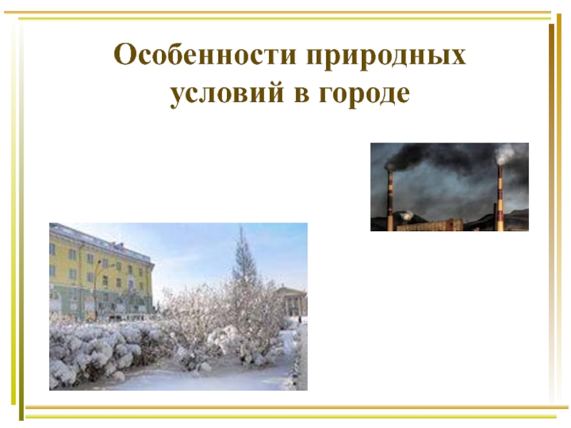 Презентация по ОБЖ на тему Особенности природных условий в городе (5 класс)