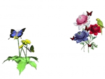 Презентация по теме Знатоки природы