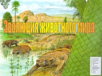 Презентация Эволюция растительного и животного мира