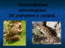 Презентация к уроку Многообразие земноводных. Их значение и охрана