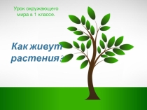 Презентация к уроку окружающего мира в 1 классе Как живут растения