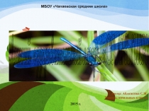 Работа летнего лагеря Солнышко