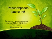 Презентация по окружающему миру Разнообразие растений