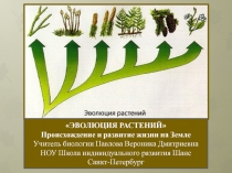 Презентация по биологии Эволюция растений