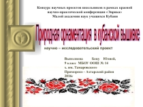 Презентация к научной работе Природная орнаментация кубанской вышивки