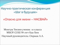 Презентация научной работы Насвай