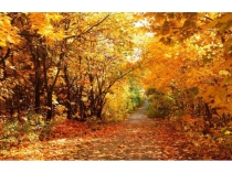 Презентация для праздника Осень