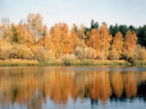 Презентация к развлечению для детей старшего возраста Батюшка Покров