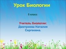 Презентация по биологии на тему Происхождение человека (5 класс)