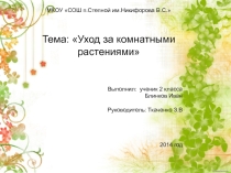 Презентация по окружающему миру