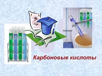 Презентация по химии 10 класс Карбоновые кислоты