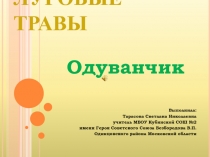 Презентация по окружающему миру на тему Луговые травы. Одуванчик.