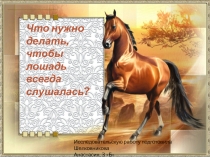 Исследовательская работа Что нужно делать, чтобы лошадь всегда слушалась?
