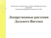 Презентация к проекту по окружающему миру Лекарственные растения Дальнего Востока