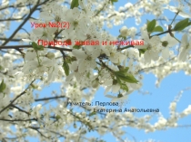 Презентация по природоведению к учебнику В.М.Пакуловой на тему