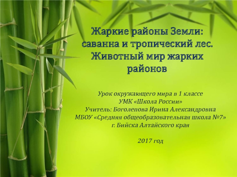 Презентация к уроку окружающего мира 1 класс Жаркие районы Земли: саванна и тропический лес. Животный мир жарких районов