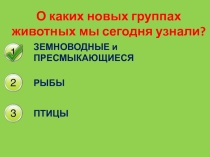 Окружающий мир 2 класс