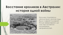 Восстание кроликов в Австралии: история одной войны
