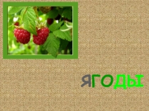 Презентация для детей дошкольного возраста Ягоды