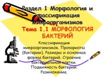 Презентация по микробиологии на тему Морфология бактерий