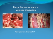 Микрофлора мяса