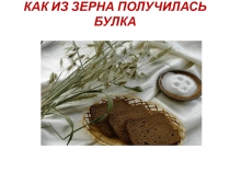 ГПД,Конспект занятия Как из зерна получилась булка,(1 класс)