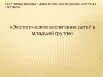 Презентация  Экологическое воспитание детей