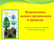 НОД по экологическому воспитанию дошкольников в подготовительной группе Берегите природу люди