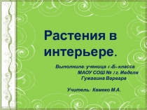 Презентация проект исследование на тему Растения в интерьере