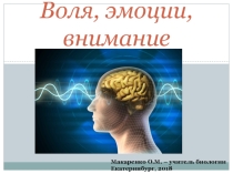 Презентация по биологии на тему Воля, эмоции, внимание