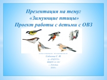 Презентация Зимующие птицыпроект работы с детьми с ОВЗ