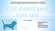 Презентация Урок Где работают собаки