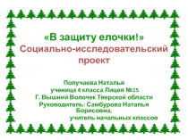 Презентация проекта Защити елочку!