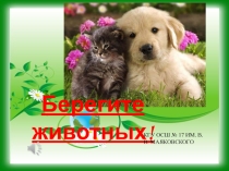 Презентация по экологии на тему Берегите животных