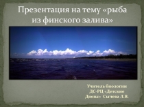 Презентация Рыба из Финского Залива