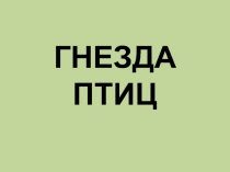 Презентация к открытому мероприятию Наши пернатые друзья