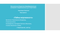 Презентация проекта на тему Тайны мороженого
