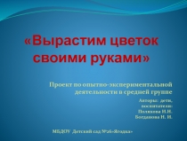 Презентация ОТ семечка до цветка (Средняя группа)