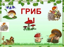 Разработка урока по теме Грибы их строение