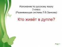 Изложение Кто живёт в дупле 3 класс