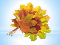 Презентация к уроку окружающего мира Какие бывают листья?