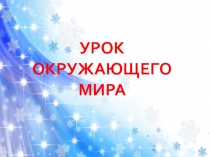 В феврале зима с весной встречается впервой