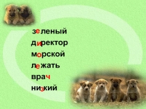 Презентация по русскому языку на тему Правописание ы и и после ц (2 класс)