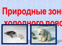 Презентация к уроку по окружающему миру Природные зоны холодного пояса