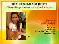 Презентация к исследовательской работе Живой организм на нашей кухне