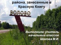 Презентация к дополнительному уроку по окружающему миру на тему Растения Воловского района, занесенные в Красную Книгу 2 класс