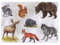 Как зимуют животные (2 млад.группа)