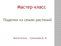 Мастер-класс поделки из семян растений