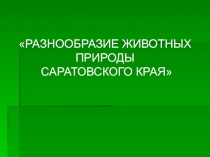 Презентация по экологическому воспитанию Разнообразие животного мира Саратовской области