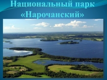 Мая Радзіма Беларусь.  Нарочанский парк.